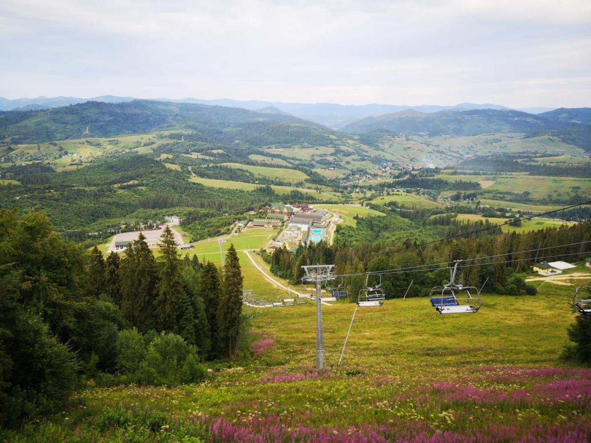 Карпатська Ружа Plave Luaran gambar